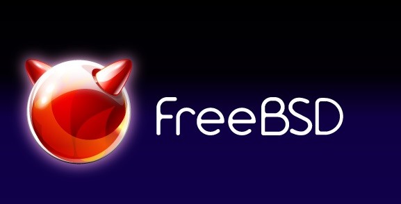 Phát hiện lỗ hổng tràn bộ đệm trên hệ điều hành FreeBSD