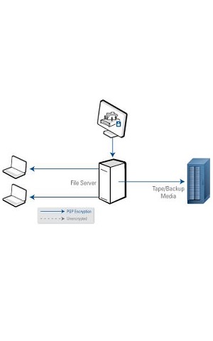 PGP NetShare