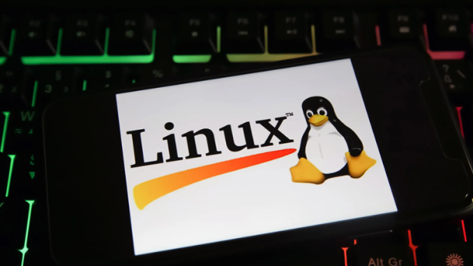 Phân tích phần mềm độc hại DinodasRAT trên Linux
